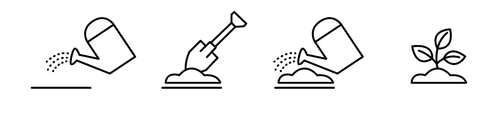 Comment planter le papier ensemencé ?