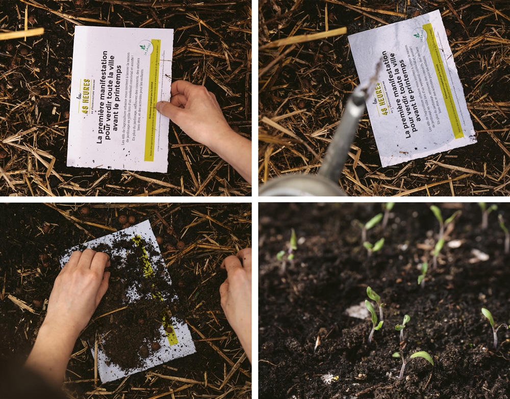 Papier ensemencé qui pousse