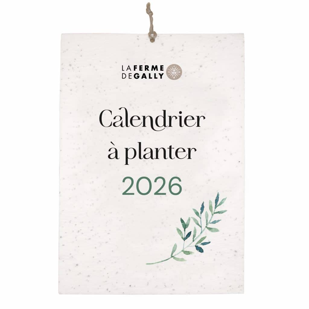 Calendrier à planter personnalisable Pousse Papier