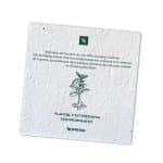 Carte à planter Nespresso ecologique