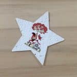 Forme d'étoile à planter