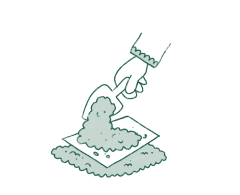 Comment pousse le papier ensemencé étape 2