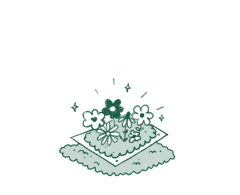 Comment pousse le papier ensemencé étape 4