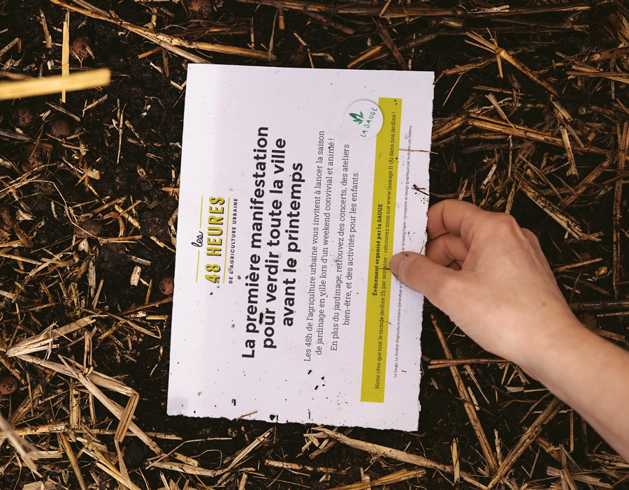 Planter le papier à graines pour le faire pousser