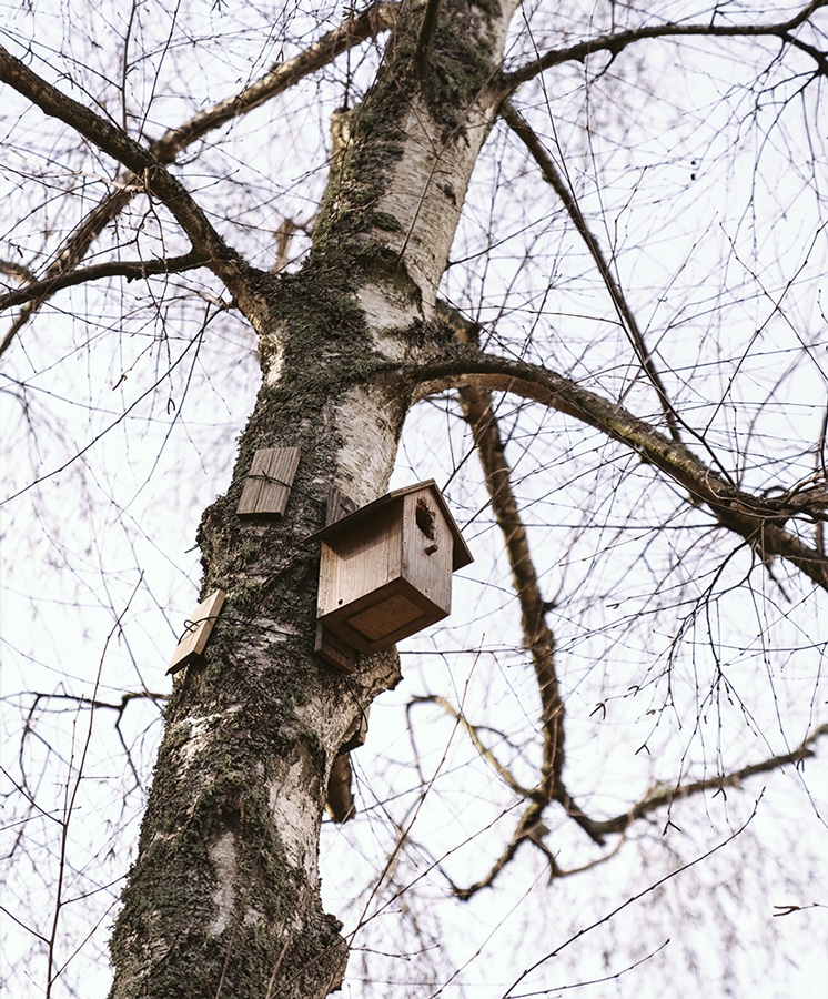 La biodiversité chez Pousse Papier imprimerie
