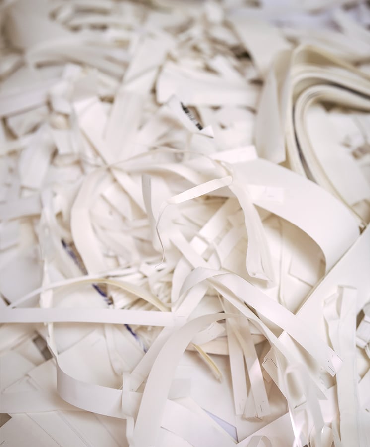 Les chutes de papier ensemencé sont recyclées