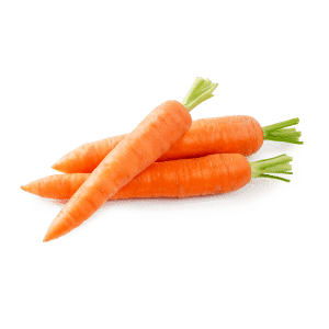 Graines de carotte papier ecologique