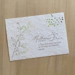 Carte de voeux à planter 2026