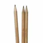 Crayon à planter félicitations goddies écologiques