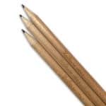 crayon à planter Sprout ecologique