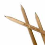 Crayon à planter sprout bonne année