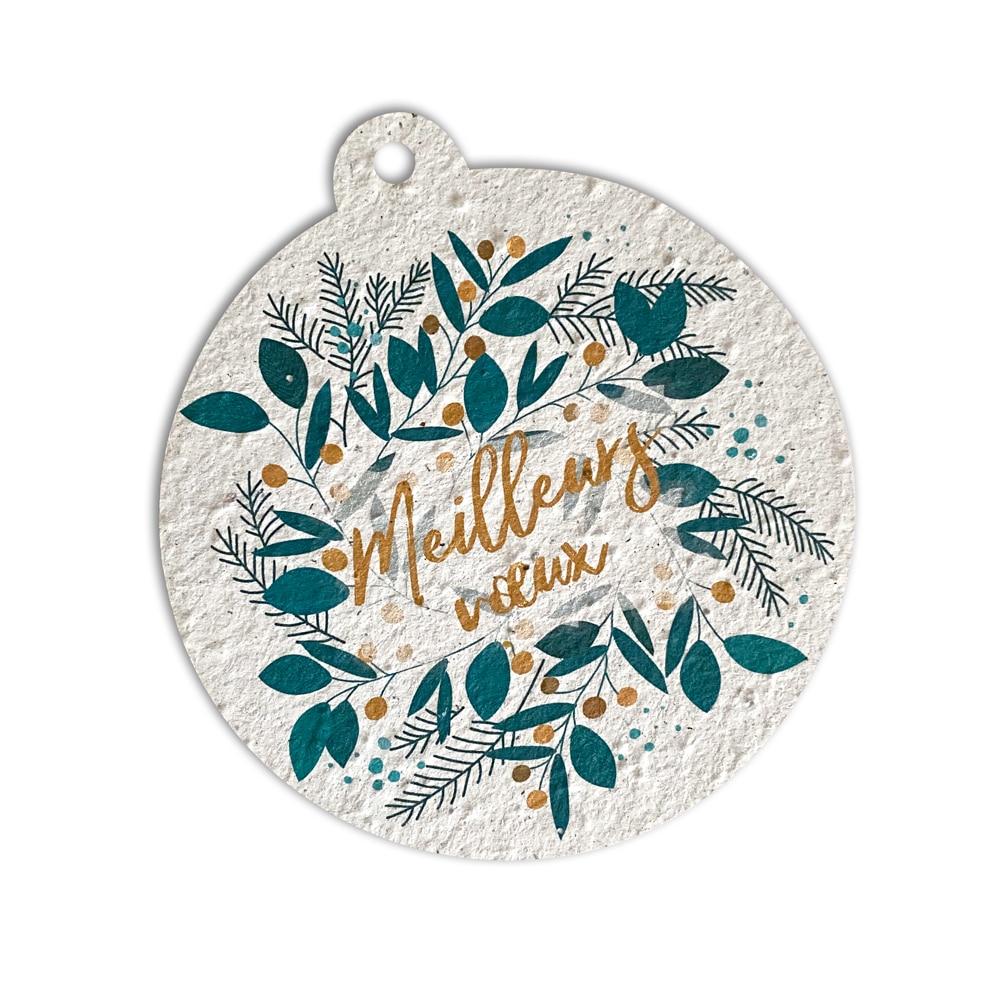 Boule de Noël à planter - design Meilleurs voeux