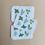 Carte de visite graines