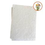 Papier ensemencé fleurs des champs