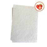 Feuilles à planter graines de fraises