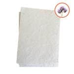 Papier ensemencé graines phacélie