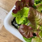 papier à graines salades