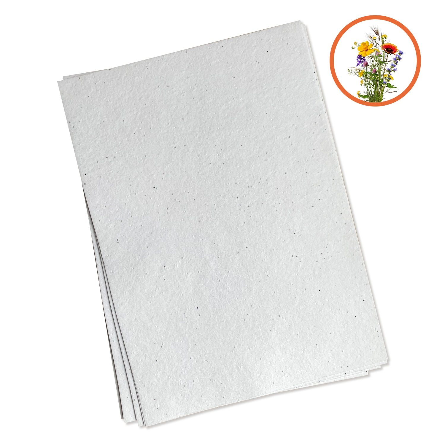 Feuilles vierges 270 gr - Fleurs des champs