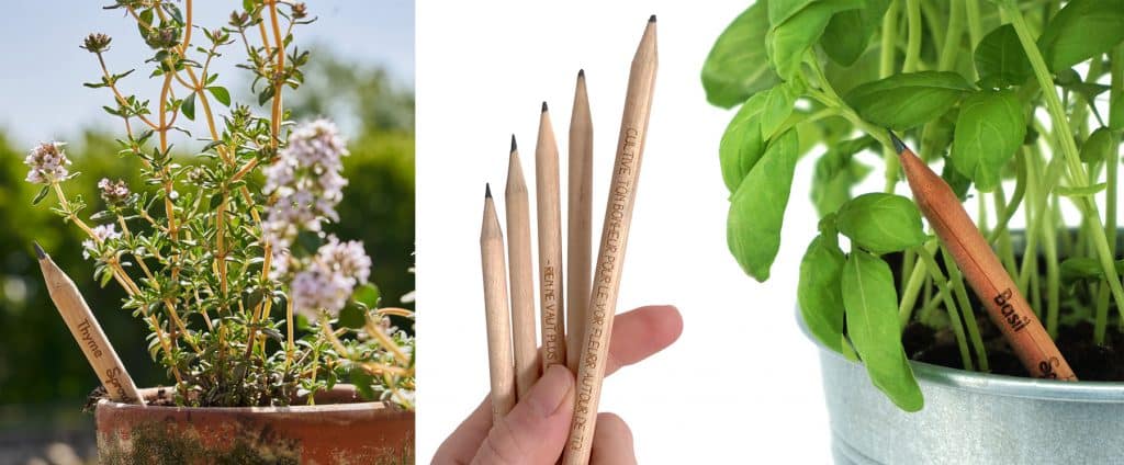 crayon a planter sprout personnalisable